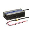 Rebelcell 12.6V10A XT60 Lithium charger - Image 2